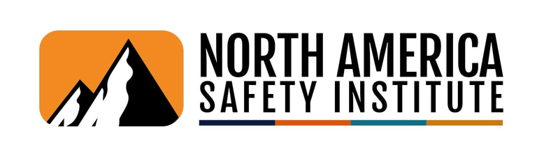 North America Safety Institute logo