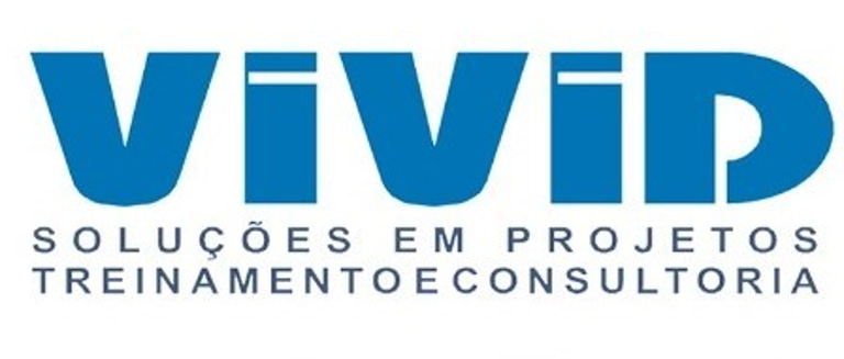 VividBR - Projetos, Treinamento e Consultoria logo
