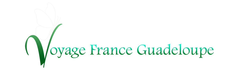voyage-france-guadeloupe.com logo