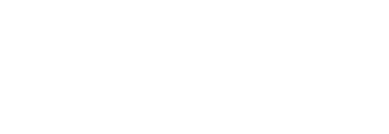 Ane Skarvøy logo