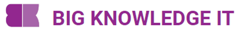BIG KNOWLEDGE IT logo