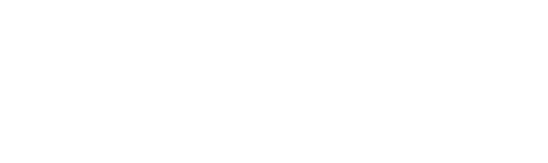 Dissem Marketing logo