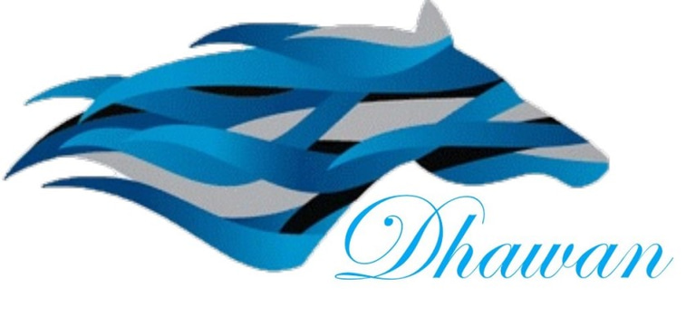 Dhawan Enterprises logo