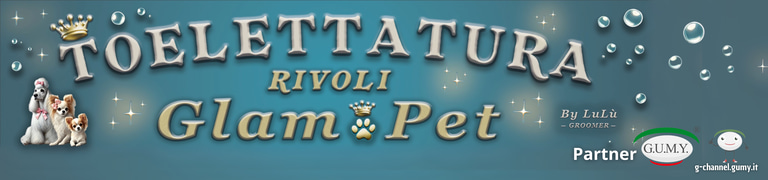 TOELETTATATURA RIVOLI ♥️GLAM By LuLù Pet logo