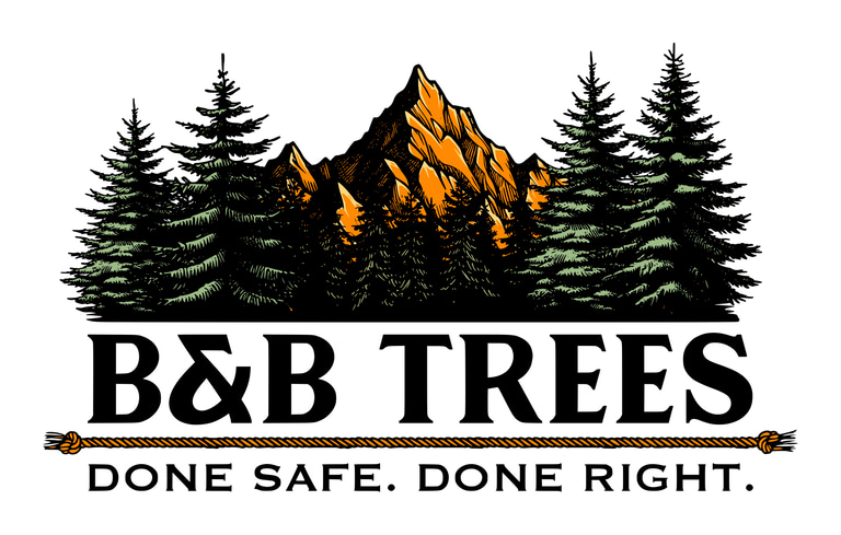 B&B Trees logo