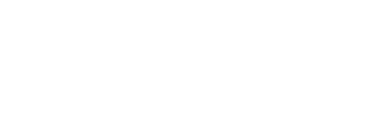 Txsprint logo