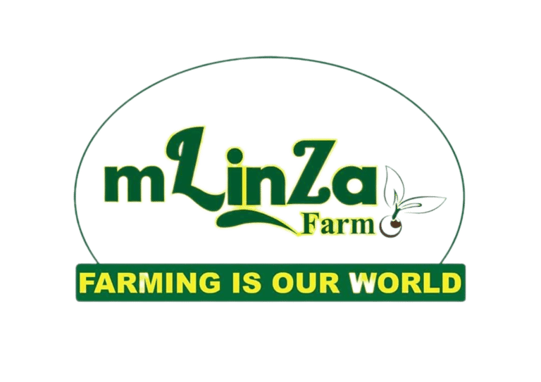 MLINZA FARM LTD logo
