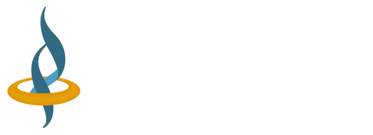 IAN Servicios SRL logo