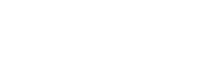 Dr. Luiz Paulo logo