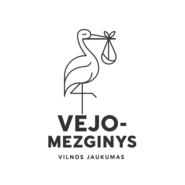 Vejo Mezginys logo