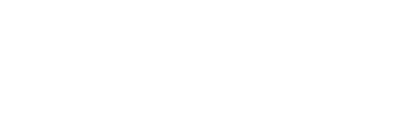 Lone Star Plumbing Pros. logo
