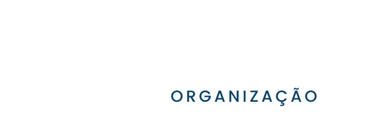 Lua Organização logo