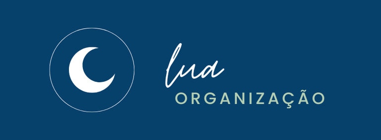 Lua Organização logo