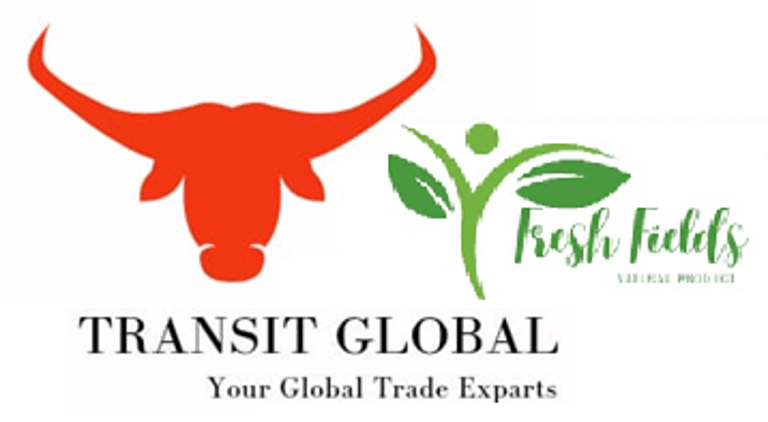Transit Global logo