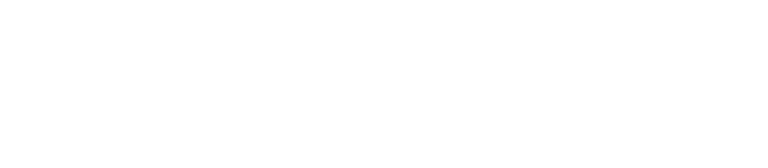 TD Chameleon logo