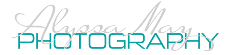 alyssamayphoto logo
