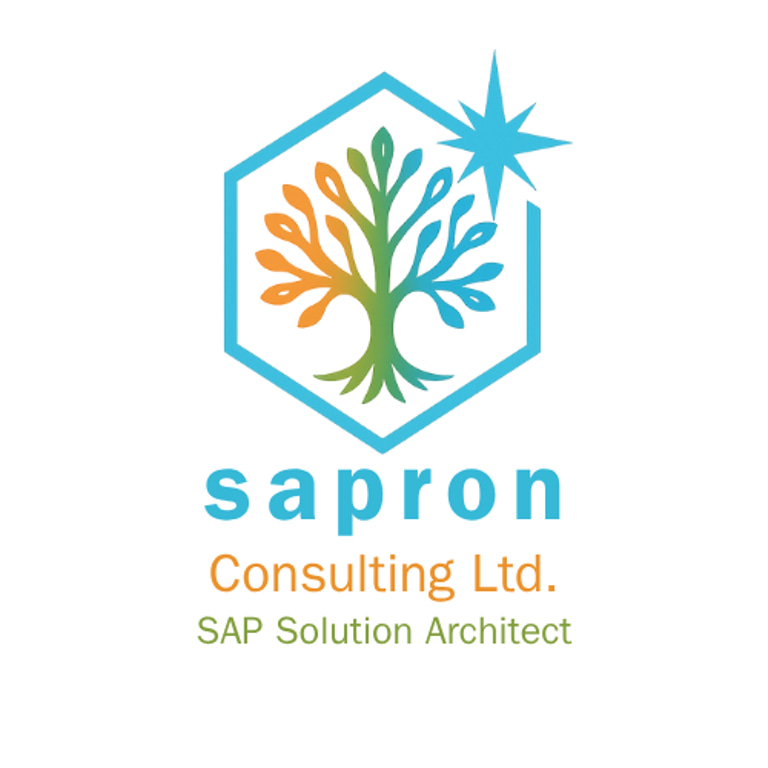 SAPRON Consulting Ltd. logo