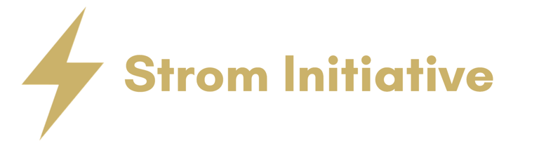 Deutsche Strom & Vermögens Initiative logo