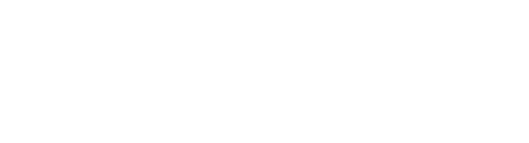 ORION DEFENSE logo