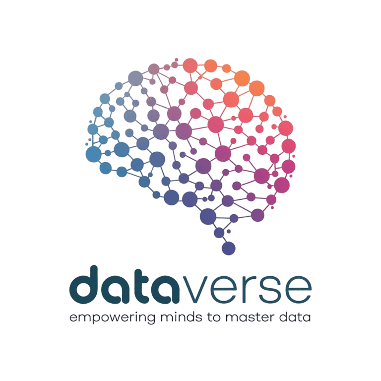 DataVerse Institute logo