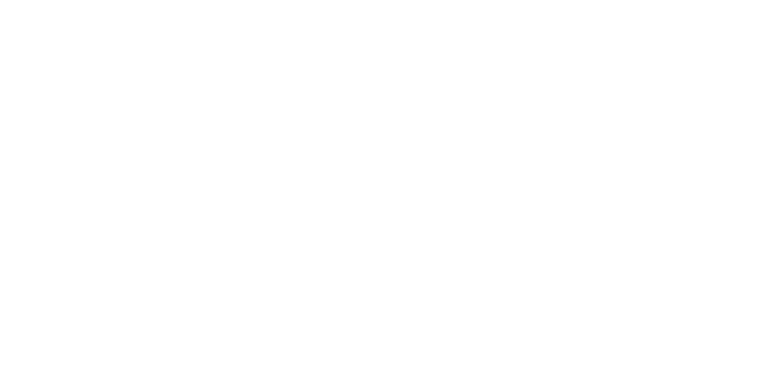 Estetika verslui logo