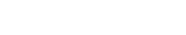Nick's Guides logo