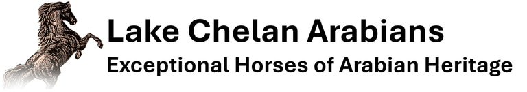 Lake Chelan Arabians logo