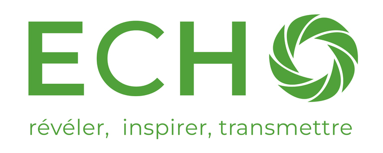 Projet ECHO logo