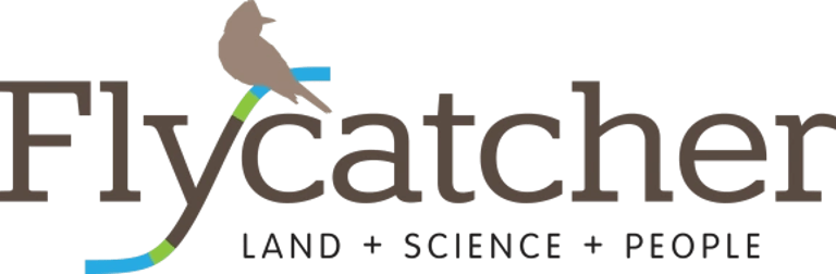 Flycatcher LLC logo