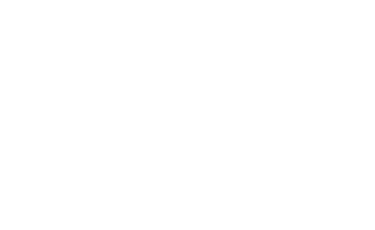 Solty logo