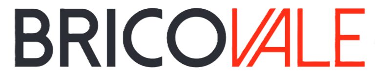 BricoVale logo