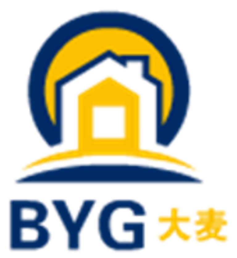 Boost Youth Group logo