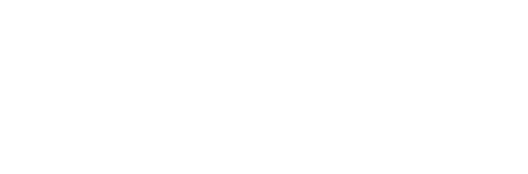 NT-MEX logo