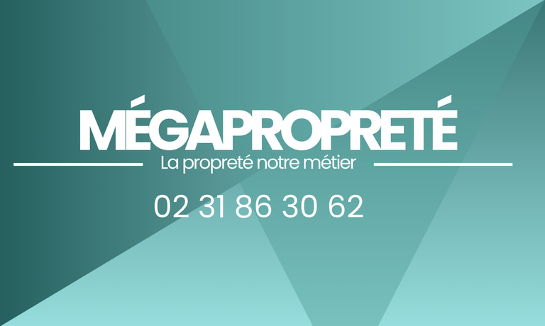 Megapropreté logo