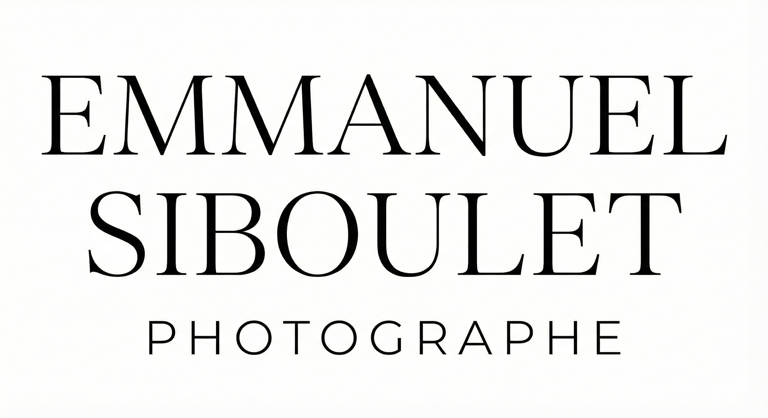 ImmoLuxe Visions logo