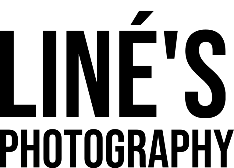 Paulina Acosta Photography logo