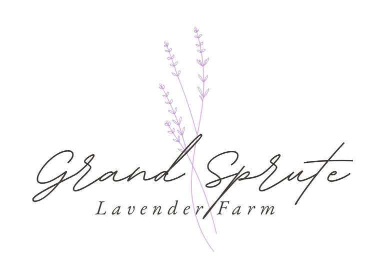 Grand Sprute Lavender Farm logo