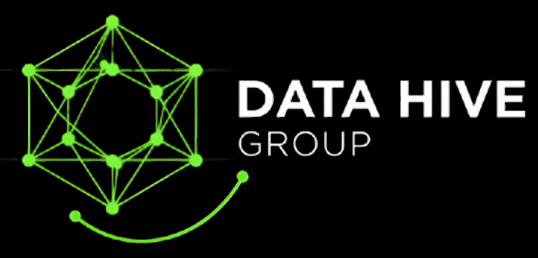 Data Hive Group logo