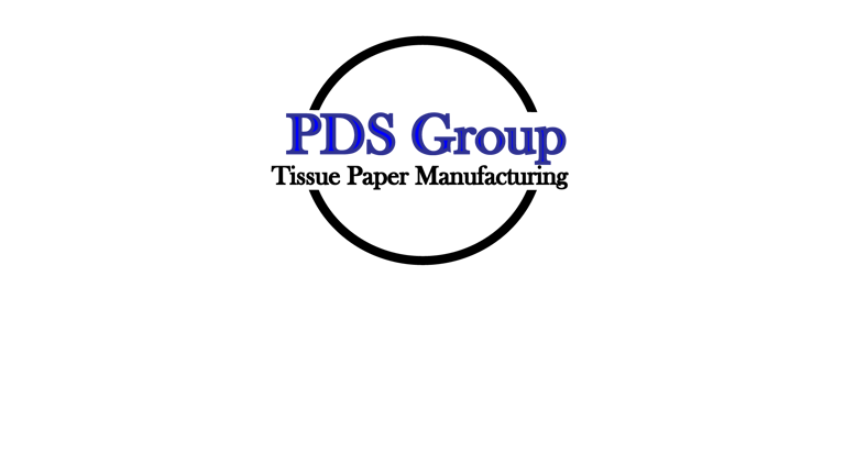 PDS Group logo