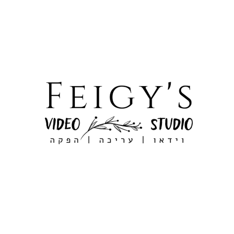 Feigy's Video Studio logo