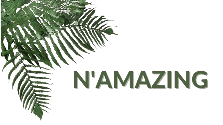 N'Amazing Service Cleaning logo