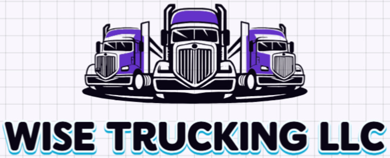 Wise Trucking LLC logo