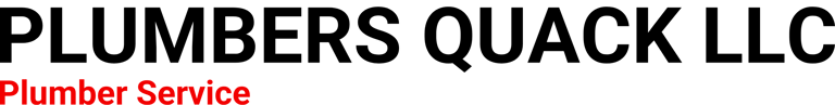 PLUMBERS QUACK LLC logo