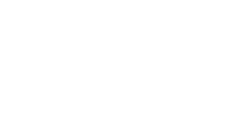 Revintis Forte logo
