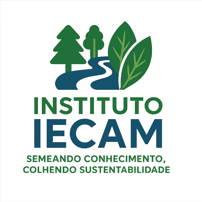 IECAM logo