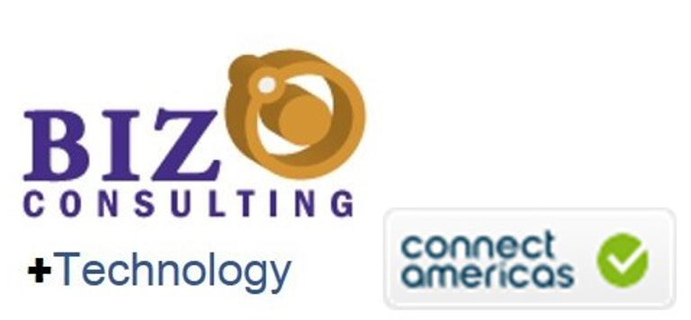 BIZ Consulting logo