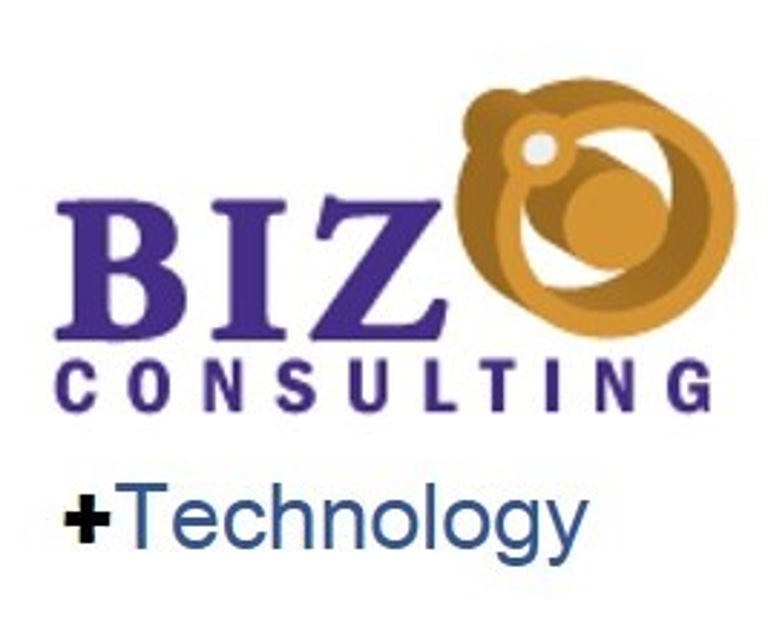 BIZ Consulting logo