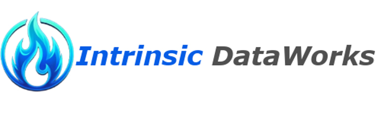 Intrinsic DataWorks logo