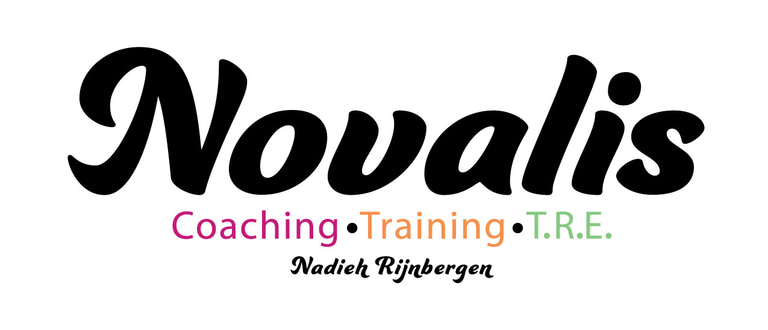 Praktijk Novalis logo