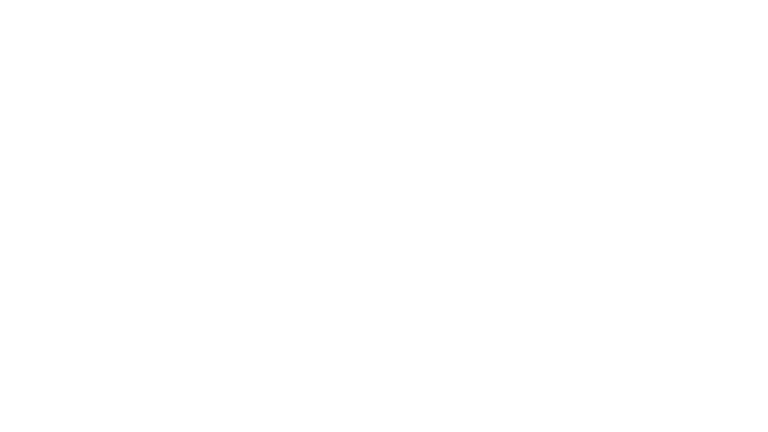 CESAR SANCHIS ROMERO logo